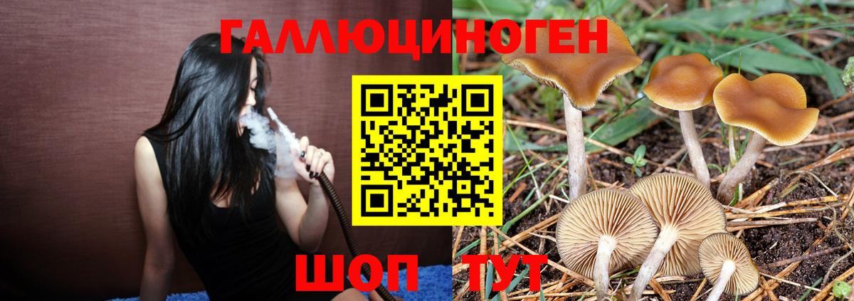 Псилоцибиновые грибы ЛСД Белово
